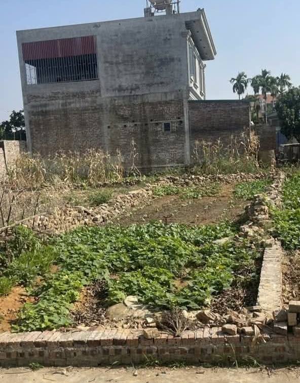 Đất nền 86m² tại Xuân Giang, Sóc Sơn - Đầu tư sinh lời hấp dẫn!