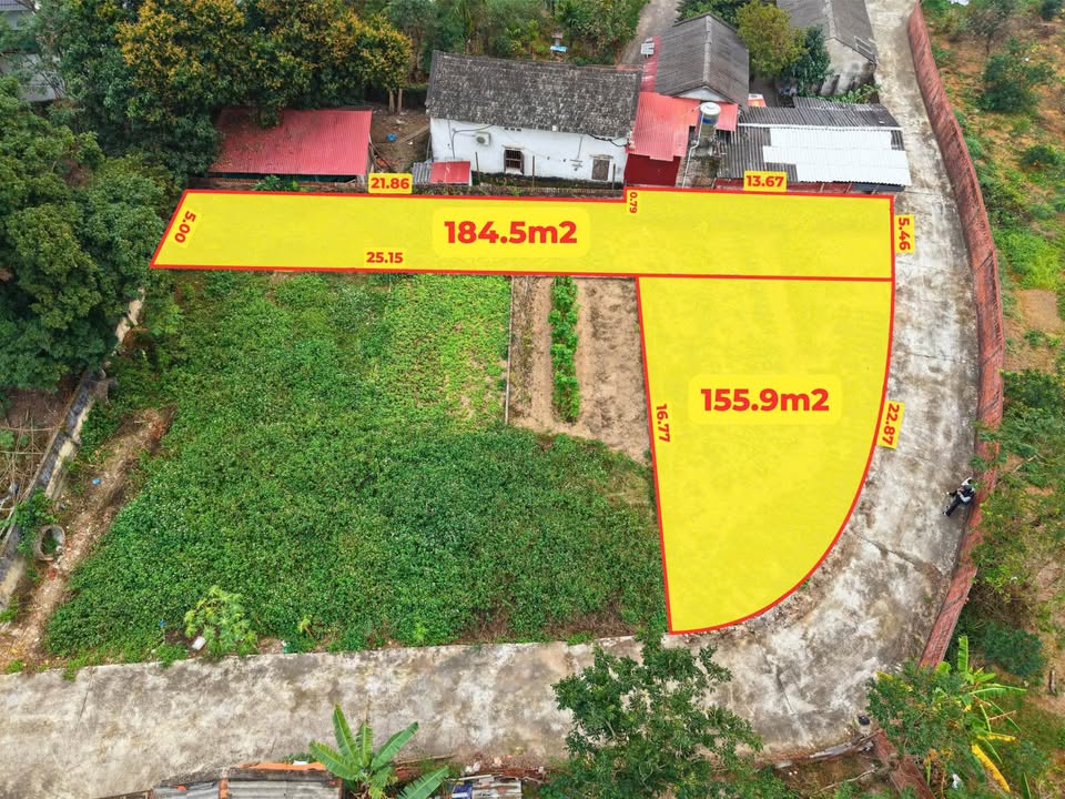 Đất nền Tam Quan, Tam Đảo 150m² giá thỏa thuận - Sổ đỏ chính chủ