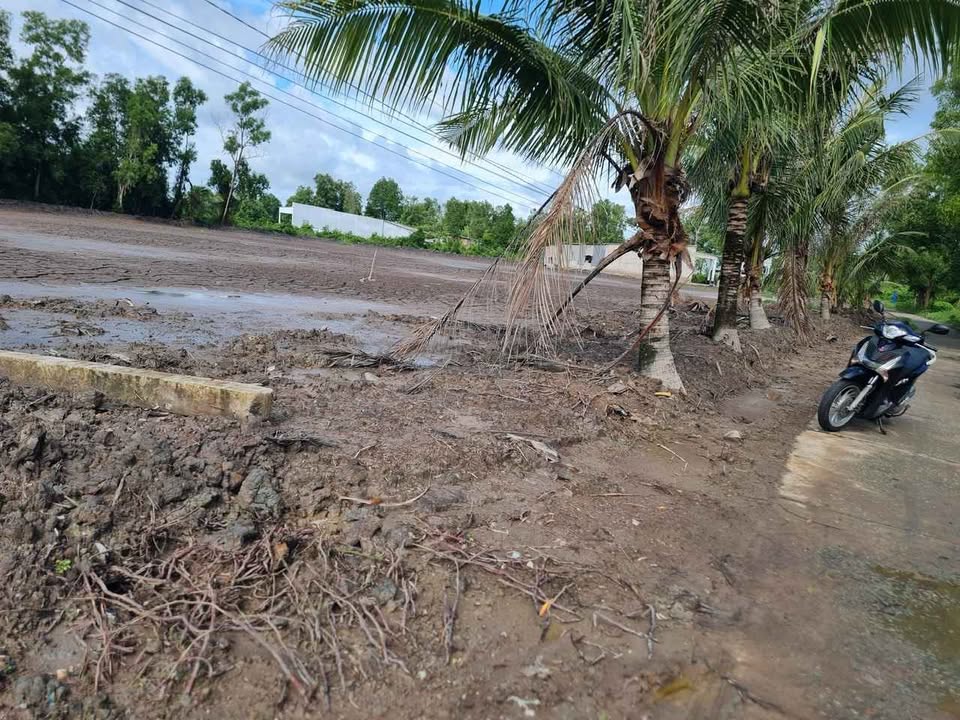 Đất thổ cư An Xuyên, Cà Mau 300m² giá chỉ 295 triệu - Cơ hội đầu tư hấp dẫn!