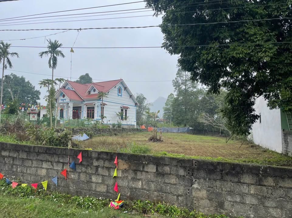 Lô đất thổ cư 300m² tại xã Cao Dương, huyện Lương Sơn - Giá tốt, đầu tư sinh lời!