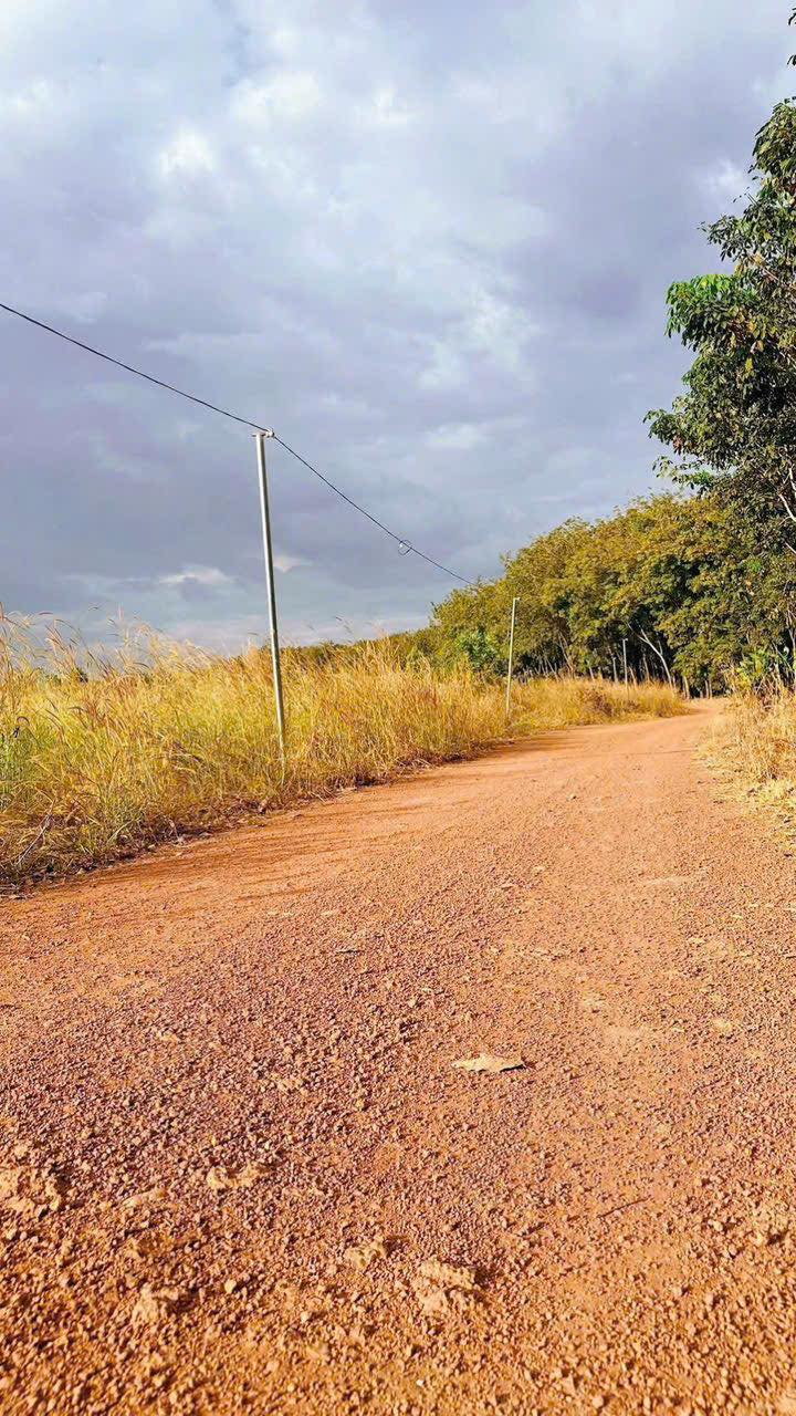 Đất nền Huyện Đồng Phú 215m² giá chỉ 200 triệu - Cơ hội đầu tư không thể bỏ lỡ!