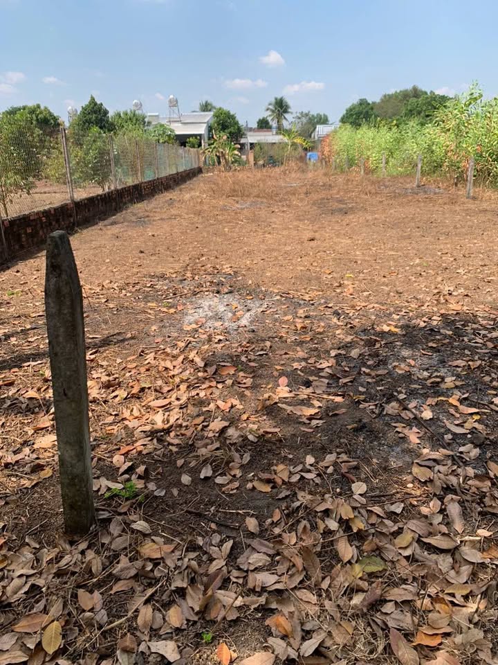 Đất nền 450m² tại đường Lê Hồng Phong, xã Đức Hạnh, giá 112.5 tỷ - Đường nhựa thông rộng, vị trí thuận lợi!