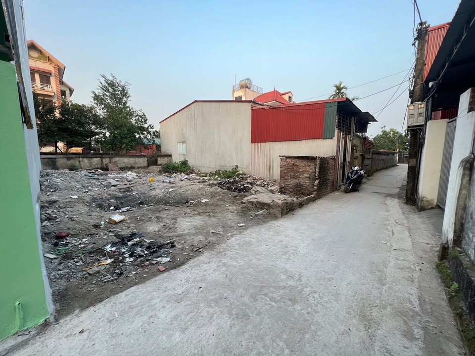 Đất nền thôn Bạch Nao, xã Tam Hưng, 116m² giá thỏa thuận - Đường ô tô vào tận nơi!