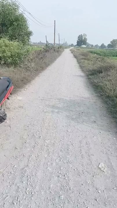 Đất thổ cư 500m² Đường Động Lực, Bình Chánh - Chính chủ bán gấp chỉ 2.2 tỷ!