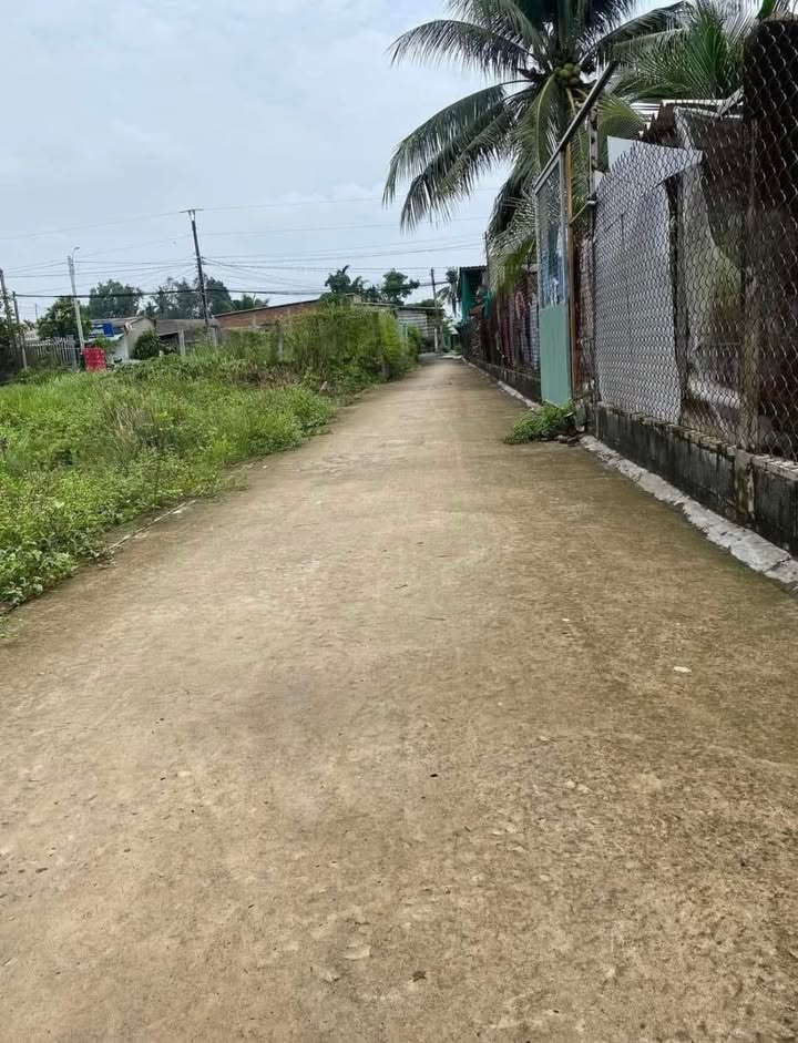 Đất vườn Hưng Long, Bình Chánh 504m² giá 1.85 tỷ - Cơ hội đầu tư hấp dẫn!