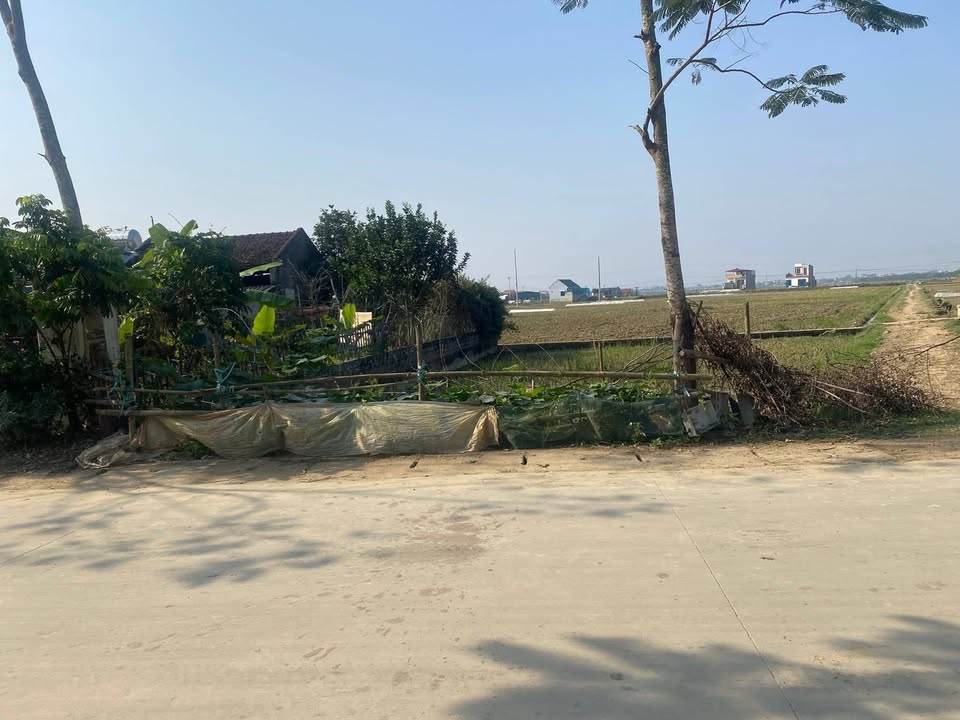 Lô đất 2 mặt tiền tại xã Xuân Phong, 250m² - Đầu tư sinh lời ngay!