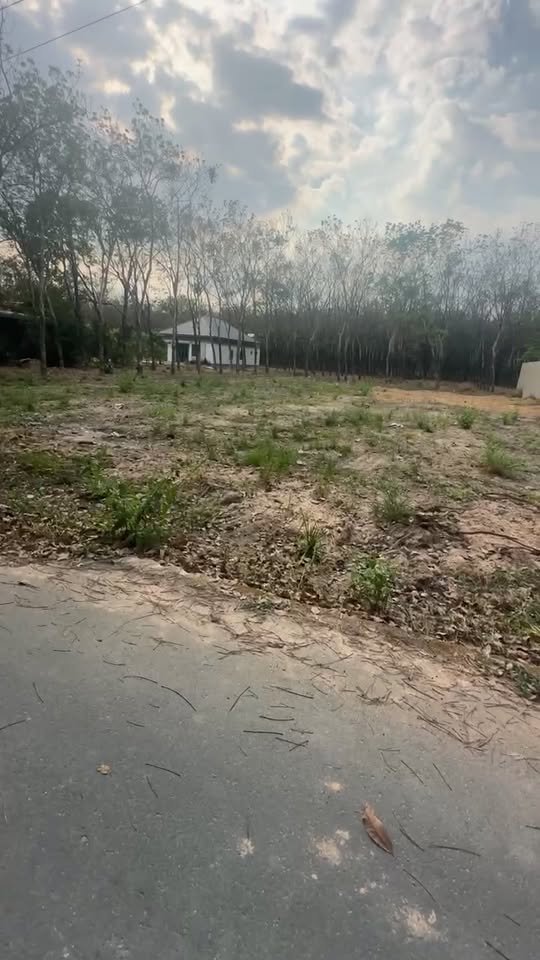 Đất thổ cư chính chủ Tuy Hòa 200m² giá 1.3 tỷ - Xây dựng tự do!