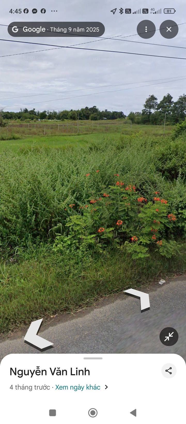 Đất thổ cư 1300m² tại ấp 12, xã Long Hữu, giá 140 tỷ - Cơ hội đầu tư hấp dẫn!