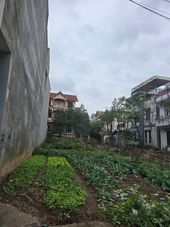 Đất lô góc Khoái Châu 90,3m² giá 6 tỷ - Vị trí đắc địa cho đầu tư!