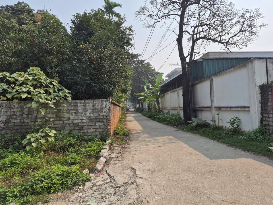 Đất nền Kim Sơn, Sơn Tây 125m² giá chỉ 4.125 tỷ - Khu vực đông dân cư tiện ích đầy đủ!