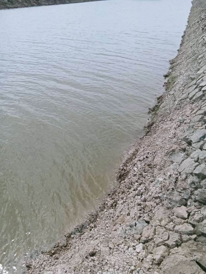 Đất nuôi tôm cua 27.000m² tại Trường Long Hòa - Cho thuê giá 110 triệu/năm!