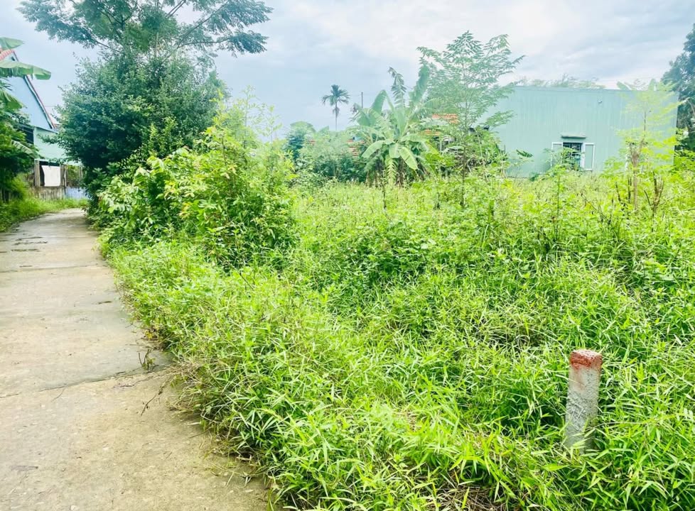 Đất nền Thị trấn Hương An 126m² giá 500 triệu - Đầu tư sinh lời cao!