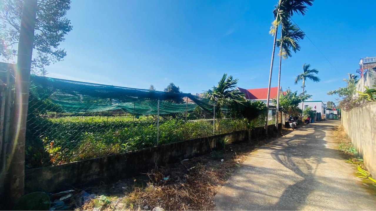 Đất thổ cư Hòa Thắng, Tân Lập 140m² giá 1.9 tỷ - Đầu tư sinh lời ngay!