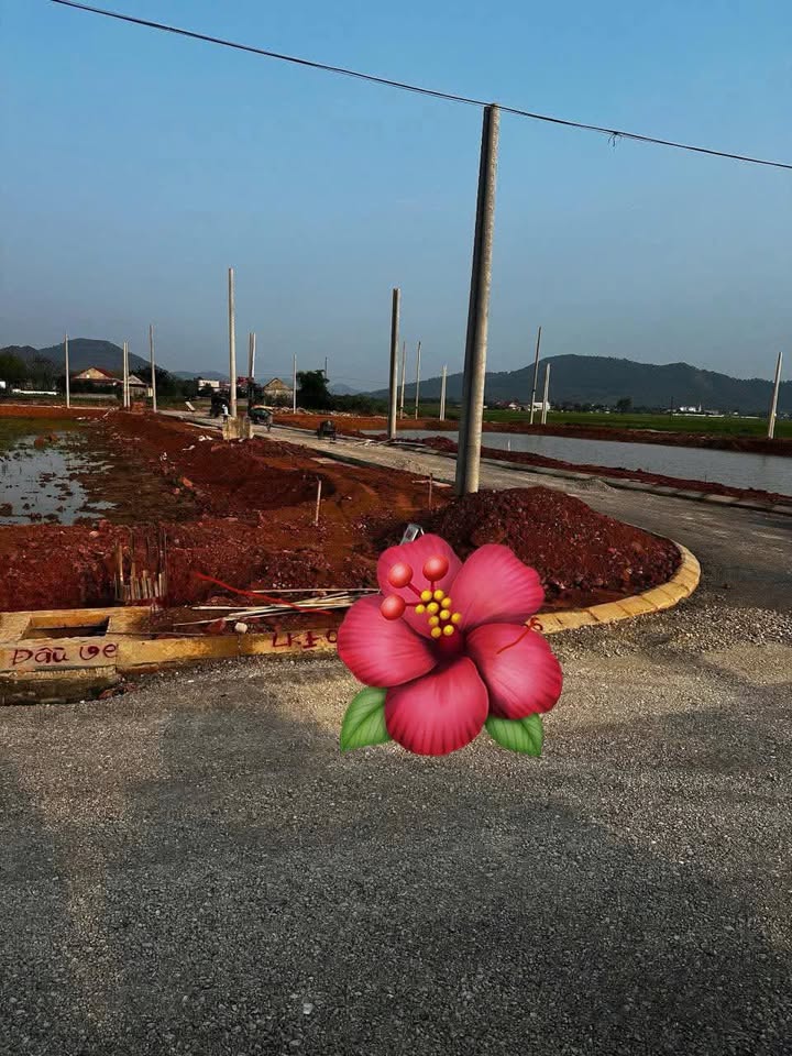 Đất nền mặt tiền 137m² tại Định Tân, Yên Định - Chính chủ bán gấp chỉ 1,02 tỷ!