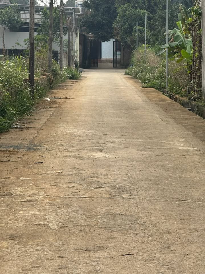 Đất thổ cư Thôn 3, Xã Phú Cát, 140m² giá 20 tỷ - Tiềm năng đầu tư tuyệt vời!