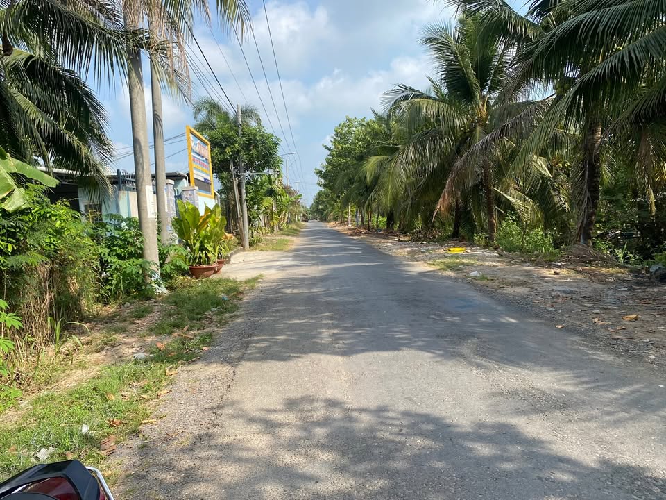 Đất vườn Mặt tiền đường SD, Phường 9, Mỹ Tho 3000m² - Cơ hội đầu tư tuyệt vời!