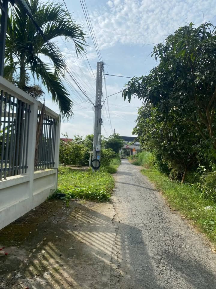 Đất nền Bình Đức, Long Xuyên 114,7m² giá 800 triệu - Cơ hội đầu tư tuyệt vời!