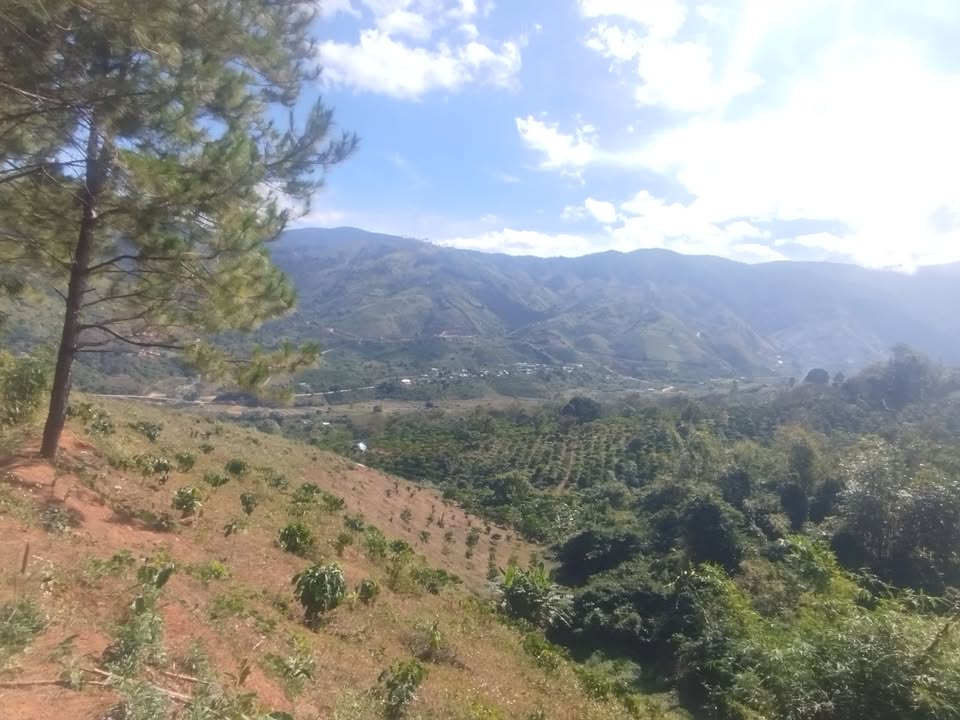 Đất nền 2160m² tại Đường 722, Huyện Đam Rông - Giá 200 triệu, cơ hội đầu tư hấp dẫn!