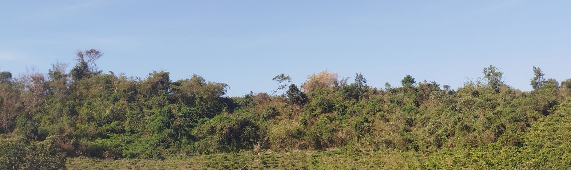 Đất nông nghiệp Xã Đạ Tông 2160m² giá 500 triệu - Cơ hội đầu tư hấp dẫn!