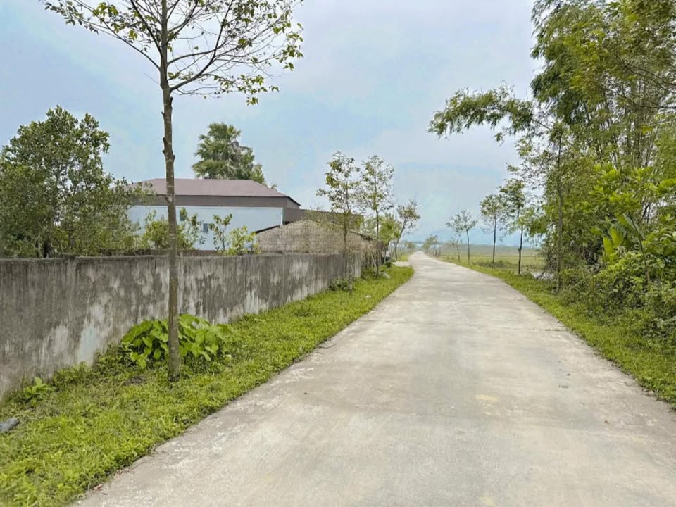 Đất nền Thạch Tân 135m² giá 1.2 tỷ - Đầu tư sinh lời ngay!