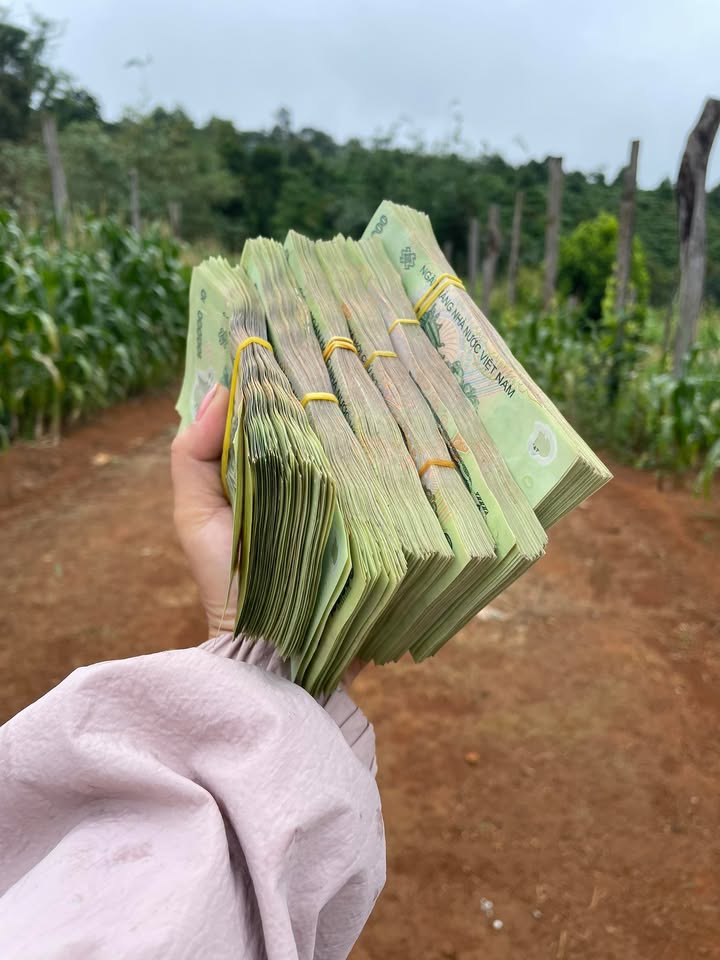 Đất nền 400m² tại Quảng Phú - Giá chỉ 200 triệu, mặt đường Quốc lộ 28