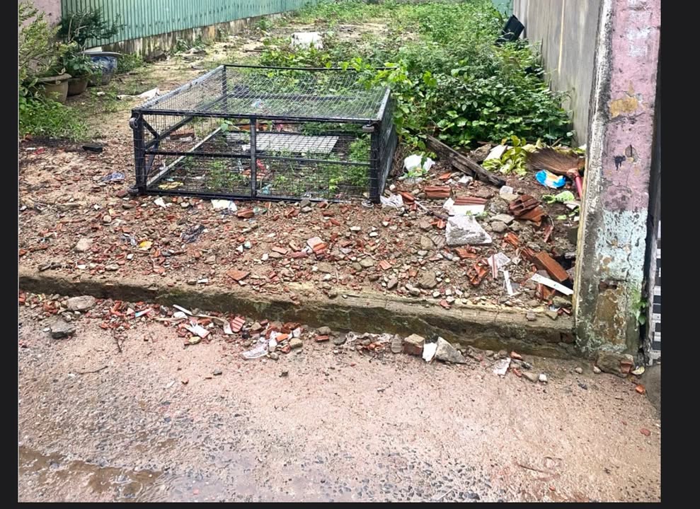 Đất nền Tôn Đản, Hòa An, Cẩm Lệ 112m² giá 3 tỷ - Cơ hội đầu tư tuyệt vời!