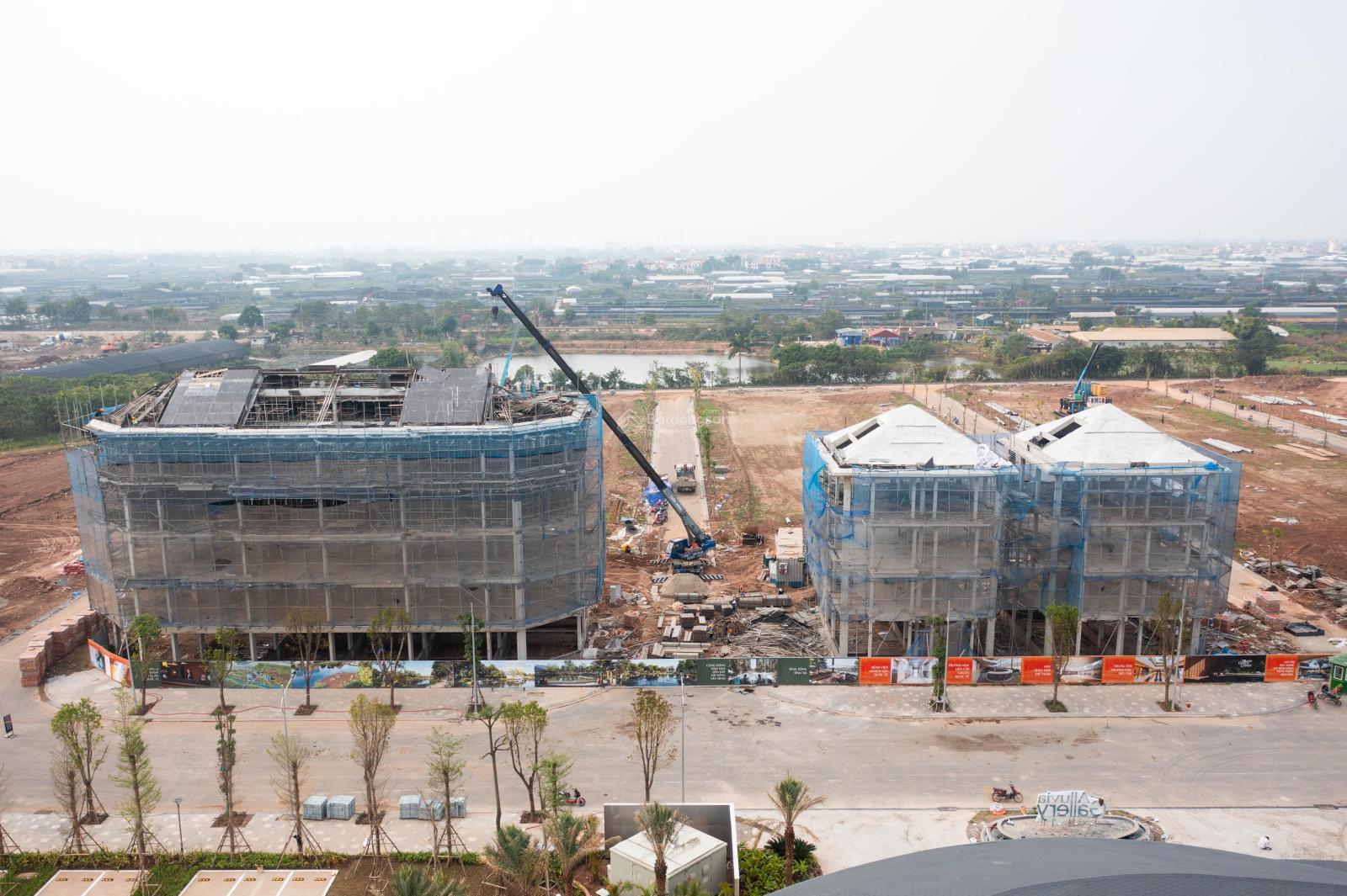 Nhà Liền kề, Biệt thự, Shophouse Alluvia City Văn Giang từ 18 tỷ - Cơ hội đầu tư hấp dẫn!