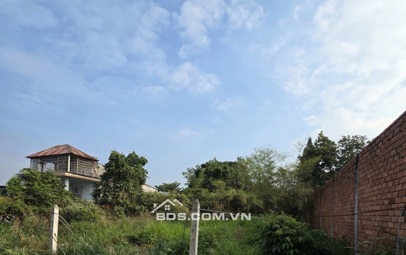 Đất nền Tương Bình Hiệp, Thủ Dầu Một 597m² giá 7 tỷ - Cơ hội đầu tư sinh lời!