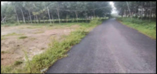 Đất Bình Dương 1100m² giá 3.7 tỷ - Cơ hội đầu tư tuyệt vời!