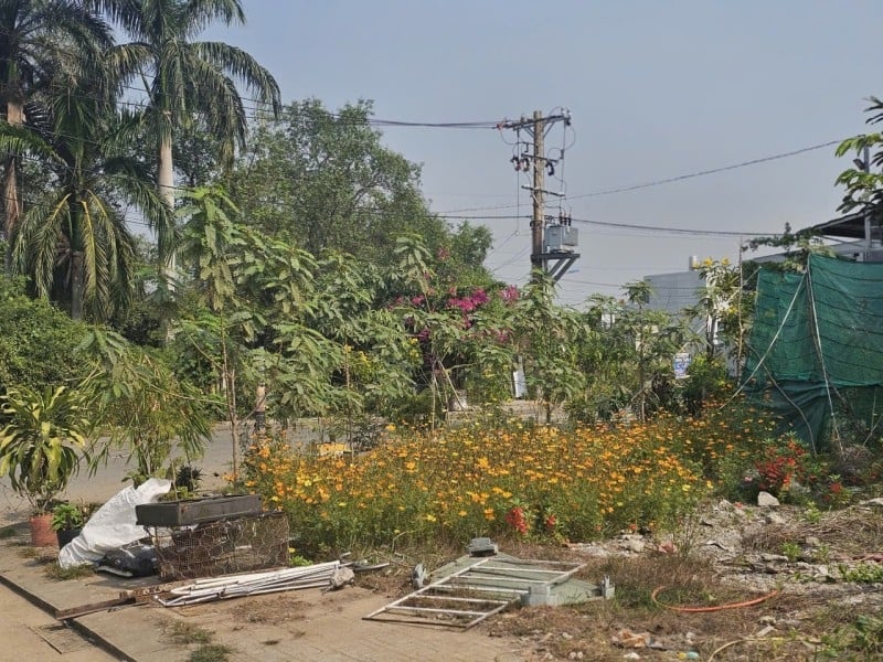 Đất 124m² Phường Long Phước - Giá chỉ 4,95 tỷ - Tiềm năng đầu tư cao!