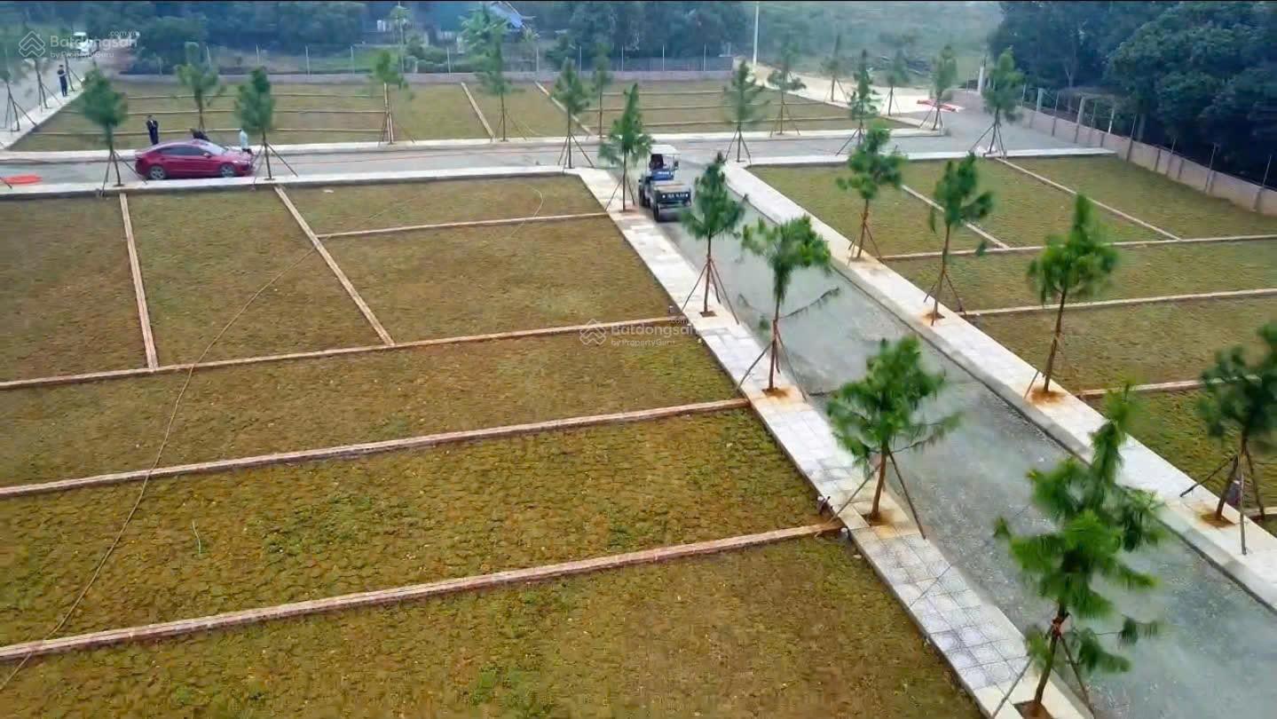 Đất đô thị Cổ Đông, Hòa Lạc 100m² giá 2.8 tỷ - Cơ hội đầu tư sinh lời cao!