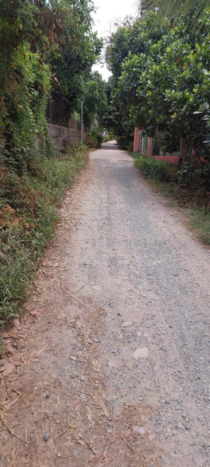 Đất nông nghiệp Huyện Cao Lãnh 3000m² giá 1.2 tỷ - Cơ hội đầu tư sinh lời!