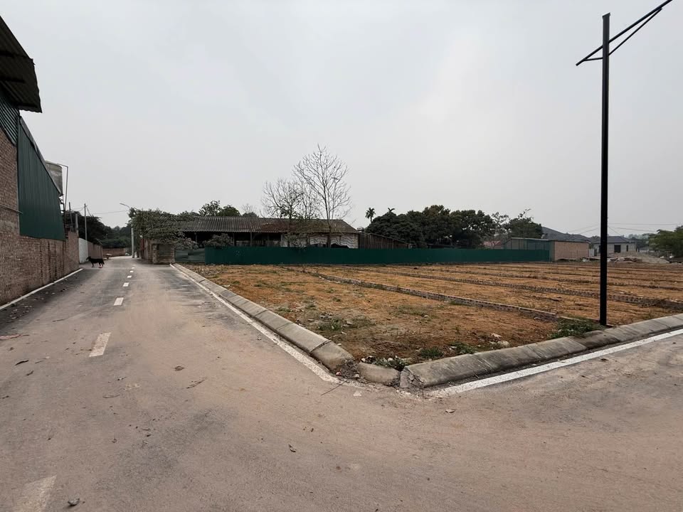 Đất nền Thôn Cõi, Tam Dương 107m² giá 1.6 tỷ - Cơ hội đầu tư sinh lời!