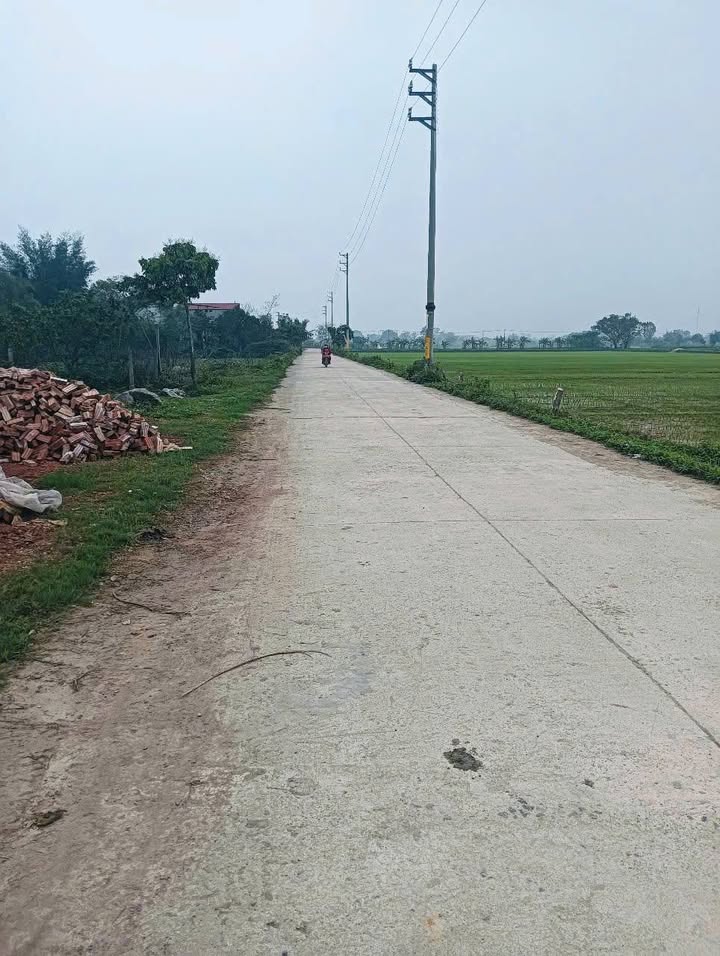 Đất Làng Nghề Chuyên Mỹ Phú Xuyên 114m² giá 2.28 tỷ - Cơ hội đầu tư hấp dẫn!