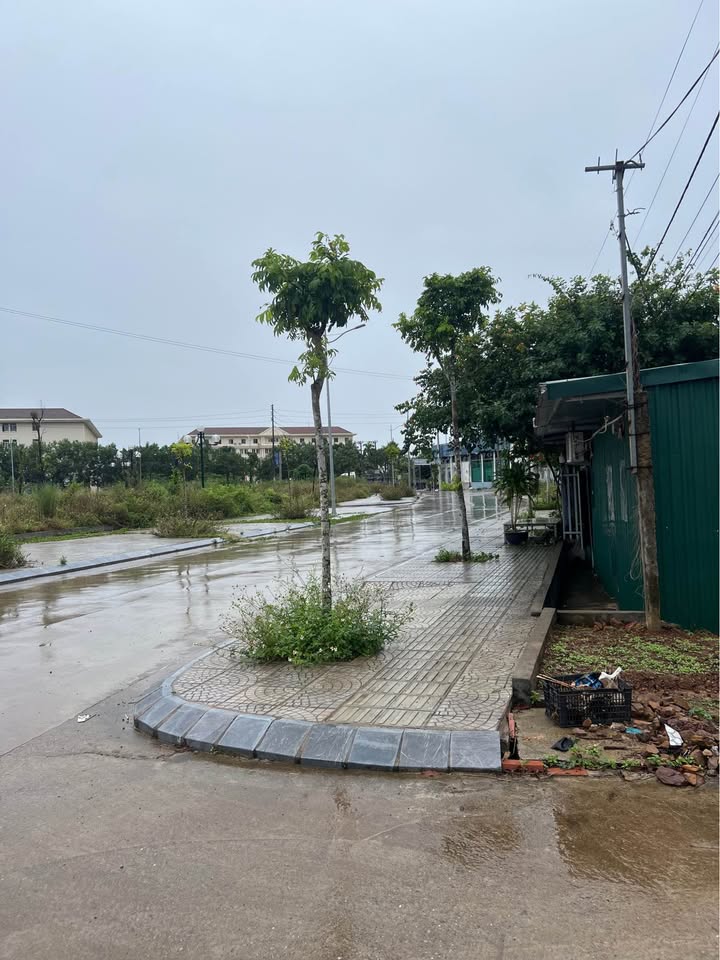 Đất nền chính chủ tại phường Hải Yên, Móng Cái - 100m² giá 1 tỷ - Cách đường chính 20m!