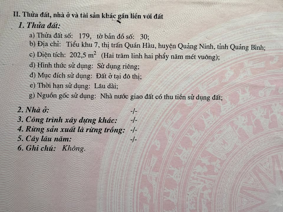 Đất nền chính chủ tại Quán Hàu 202m² giá 1,6 tỷ - Vị trí đắc địa!