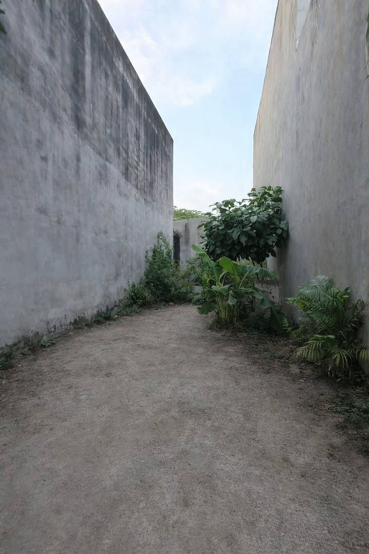 Lô đất đường số 8, P. Long Bình, 59m² giá 2.85 tỷ - Đầu tư sinh lời ngay!