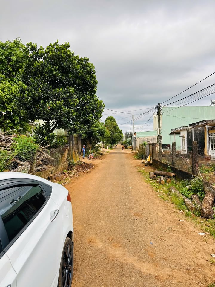 Lô đất hẻm 101 Lý Nam Đế, Phường Hội Phú, 150m² chỉ 1.3 tỷ - Đầu tư sinh lời!