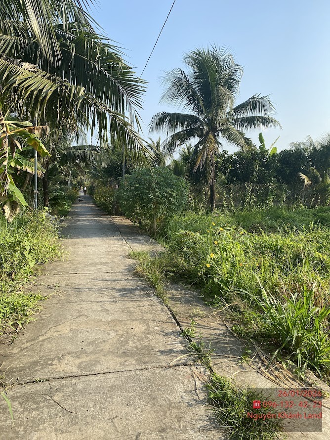 Đất nền Phú Tân Bến Tre 147m² giá 750 triệu - Đầu tư sinh lời ngay!