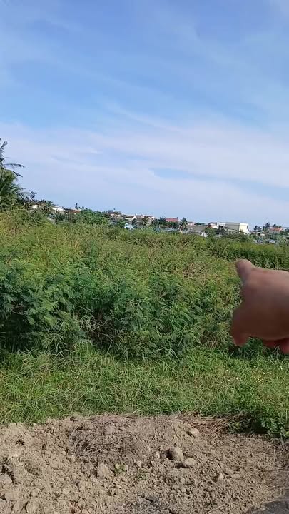 Đất dự án Khu Du Lịch Sinh Thái Coastal Nghĩa Hòa 93.900m² giá 7.1 tỷ - Cơ hội đầu tư vàng!