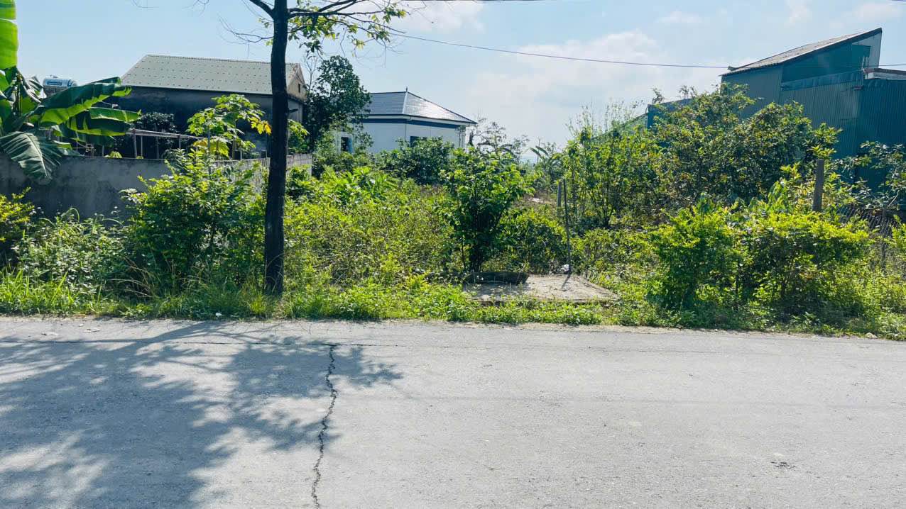 Đất Tân An, Cẩm Bình, Cẩm Xuyên - 241.6m² giá 1.4 tỷ - Đường thảm rộng, dân cư đông đúc!