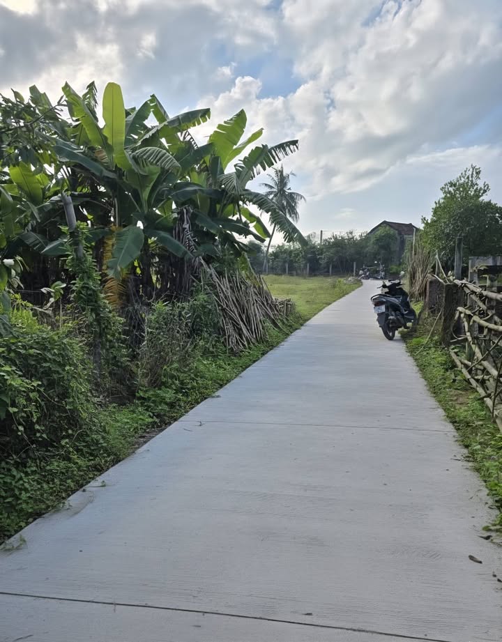 Đất nền xã Hòa Tiến, Huyện Hòa Vang, Đà Nẵng 100m² giá chỉ 1 tỷ - Bán gấp trước Tết!