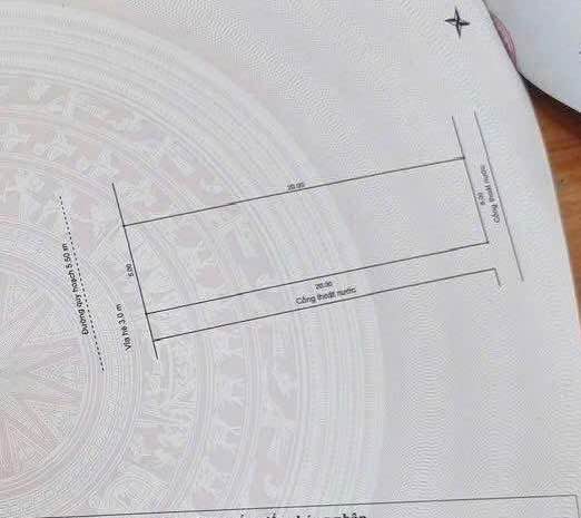 Đất gần biển Sơn Trà, Đà Nẵng 100m² giá 8 tỷ - Sẵn sàng đầu tư sinh lời!