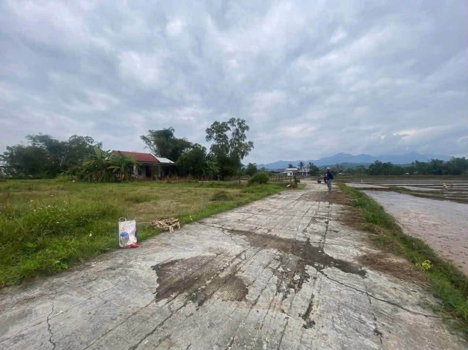 Đất nền Duy Hòa 125m² giá chỉ 2xx triệu - Sổ hồng chính chủ, sang tên ngay!