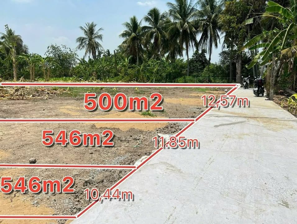 Lô đất vườn 500m² tại Quê Mỹ Thạnh, Tân Trụ - Chỉ 580 triệu!