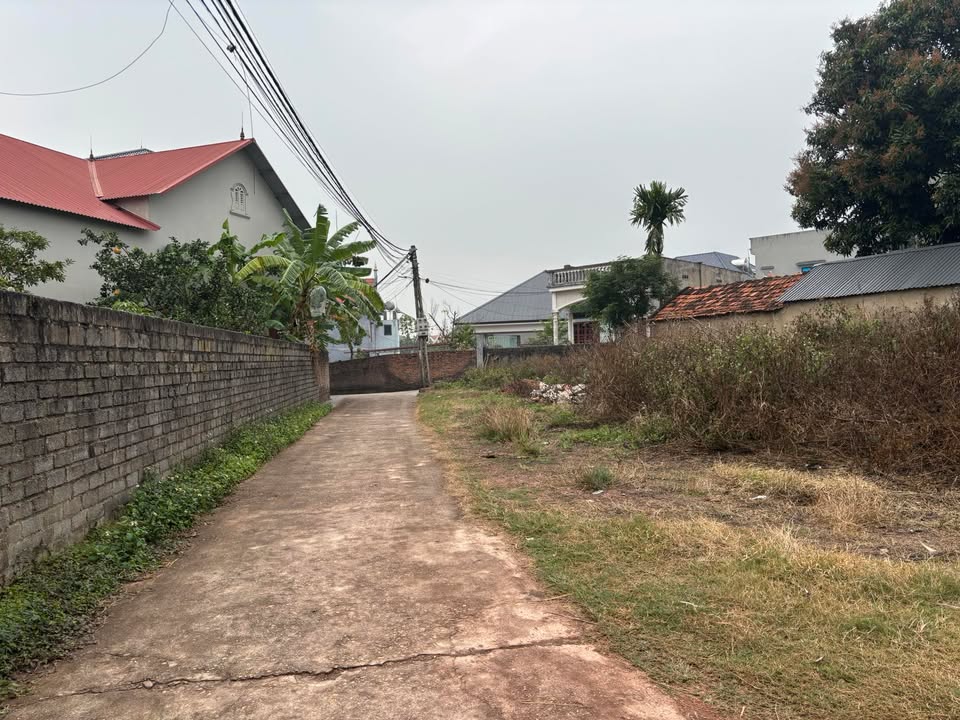 Đất nền Tân Dĩnh Bắc Giang 90m² giá 800 triệu - Đường ô tô tránh nhau, an ninh tốt!