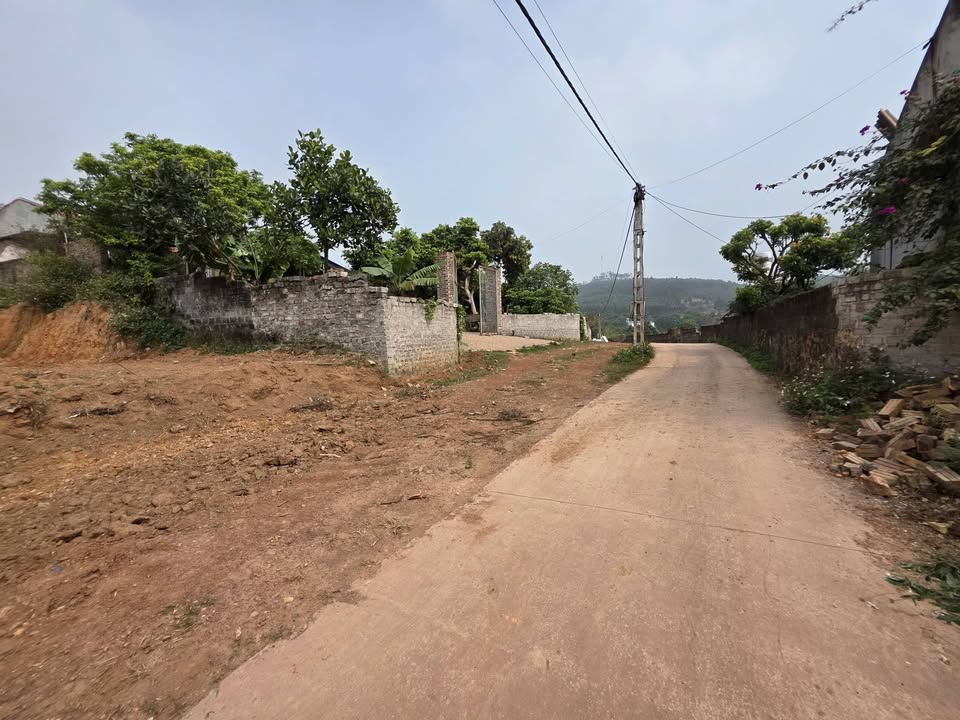 Đất nền 200m² tại Đan Hội, Lục Nam - Chỉ 400 triệu VND - Đầu tư tiềm năng!