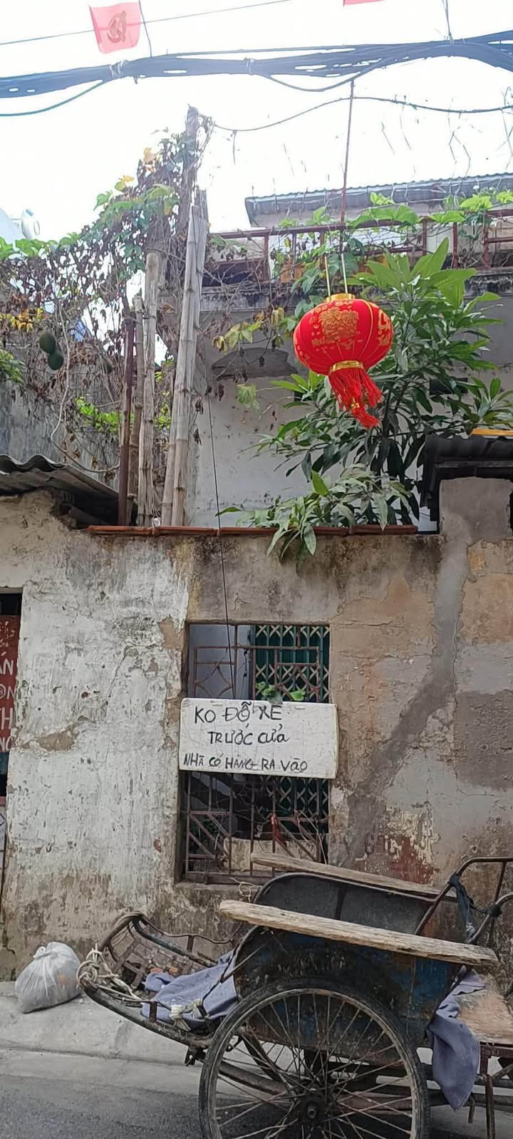 Đất Lộc Vượng Nam Định 192m² giá 7.68 tỷ - Hướng Đông Nam, vị trí đẹp!