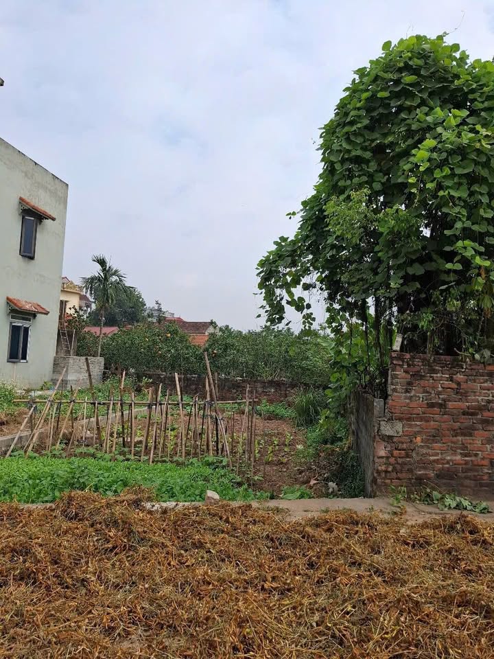 FrontHouse Xã Đại Xuyên 80m² giá 2.9 tỷ - Đầu tư sinh lời ngay!