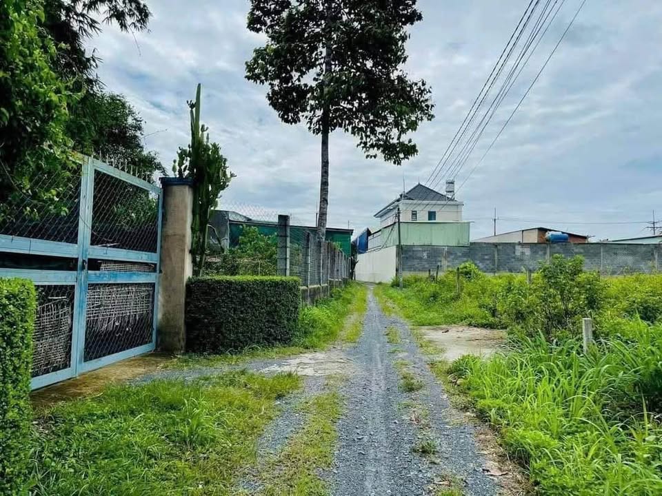 Đất nền 110m² tại Đường Suối Lội, Củ Chi - Giá chỉ 1.75 tỷ, thương lượng!